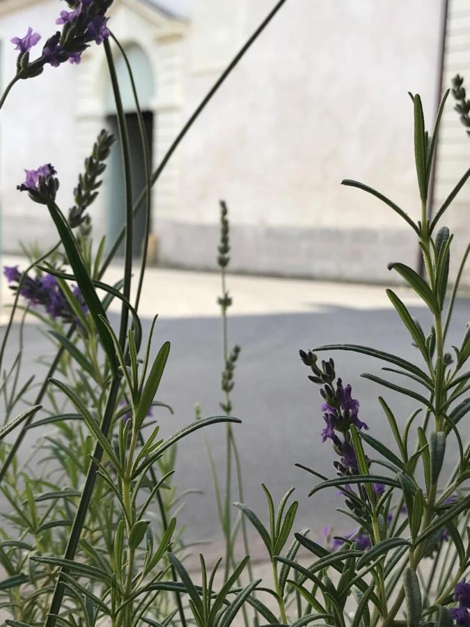 Fontevraud Maison De Ville Bnb 외부 사진