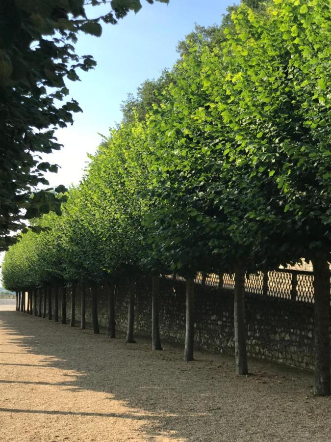 Fontevraud Maison De Ville Bnb 외부 사진